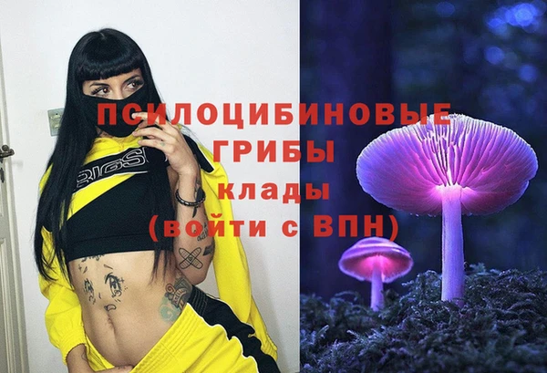 ECSTASY Баксан